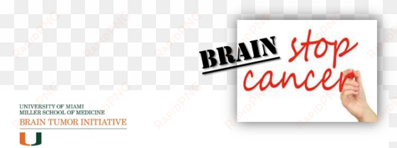 the university of miami brain tumor initiative - carmine