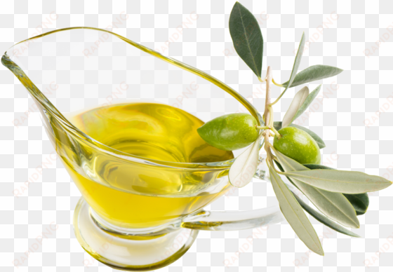 the world's greatest extra virgin olive oil - olive oil