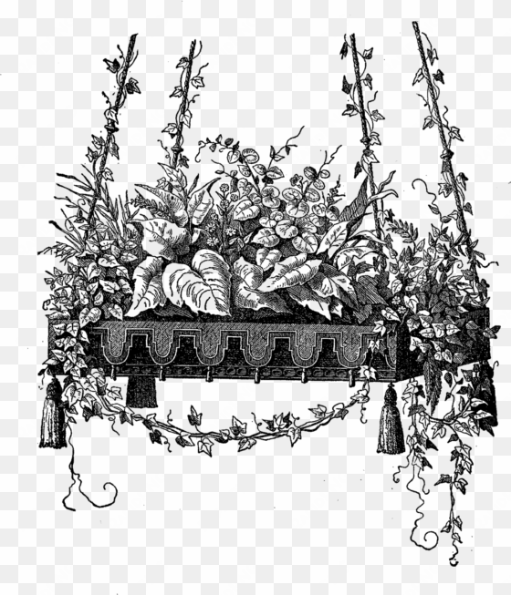 these are wonderful digital image transfers of beautiful - hanging plant clipart black and white
