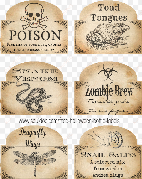 these free, printable halloween bottle labels are absolutely - printable potion bottle labels