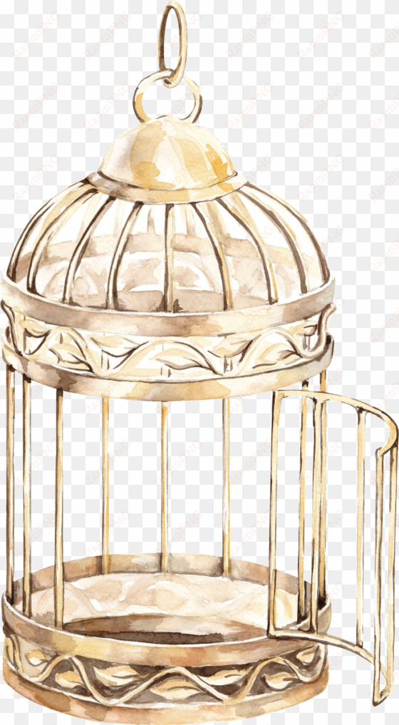 this backgrounds is delicate bird cage transparent - bird cage transparent background png