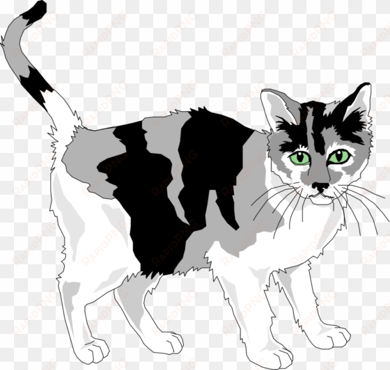 this free clipart png design of black and grey cat