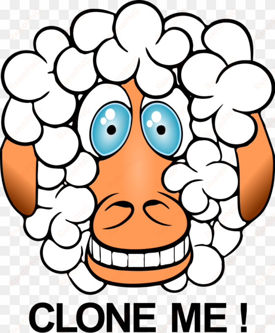 this free clipart png design of funny sheep