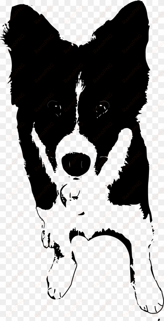 this free icons png design of border collie puppy