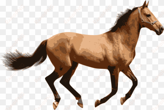 this free icons png design of caballo 2
