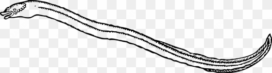 this free icons png design of eel 2
