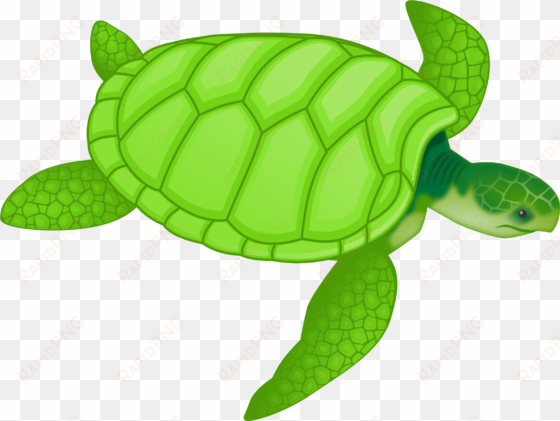 this free icons png design of green sea turtle