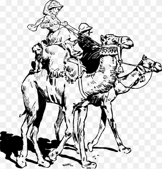 this free icons png design of lady on camel