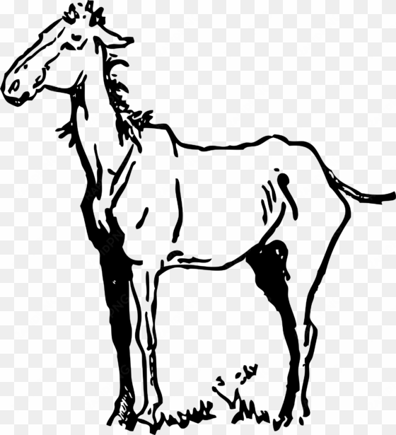 this free icons png design of old horse
