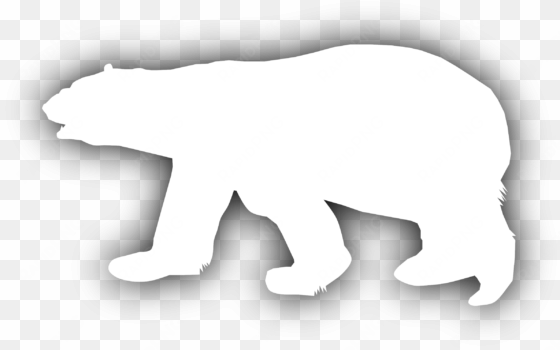 this free icons png design of polar bear