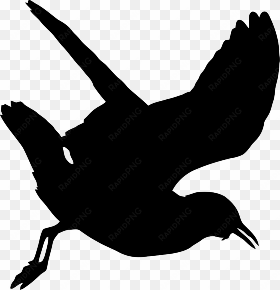 this free icons png design of seagull silhouette 2