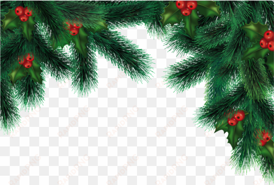 this graphics is christmas pine tree border about christmas - pine branch png christmas