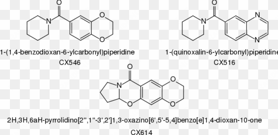 this graphics is cortex pharmaceutical ampakines about - ampakine