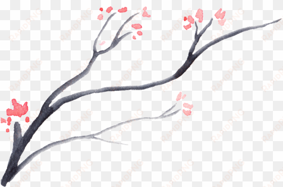 this graphics is dead wood bloom flower transparent - flower