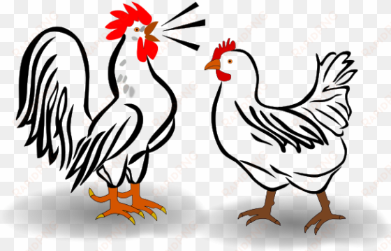 this graphics is penis about hahn huhne, biddy, chicken, - chicken and rooster clipart