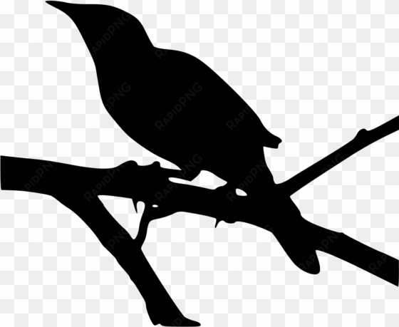 this graphics is the outline of the robins about texas,birds - kill a mockingbird icon