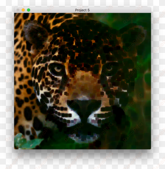 this image was created by applying morphological erosion - jaguar