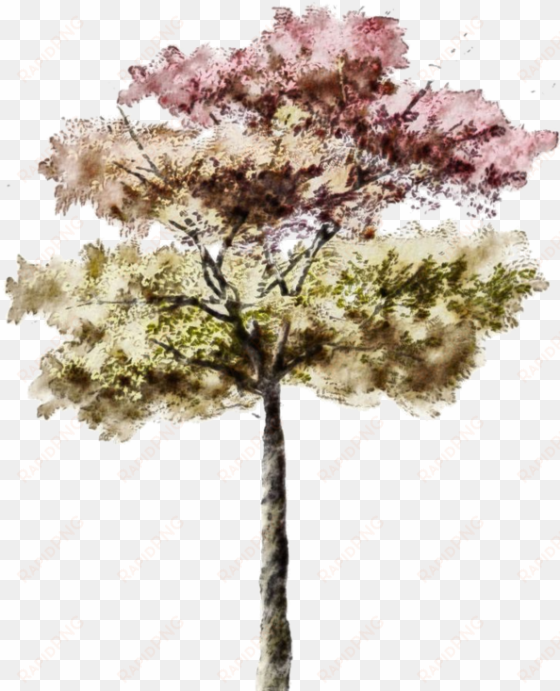 this is a test on posting from email - architecture rendering photoshop trees