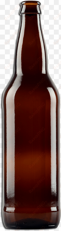 this is an image of a brown bottle on the craft beer - beer bottle