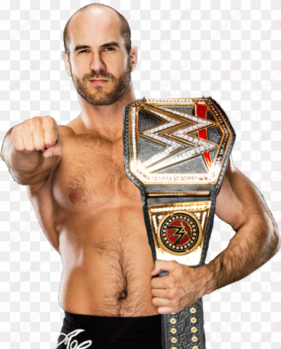 this looks damn good - wwe world have champion