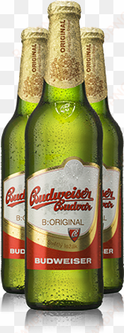 this premium lager is produced exclusively from the - budweiser budvar (czechvar) 12°