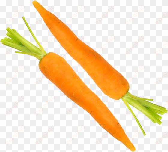 this product design is carrot transparent vegetables - carrot