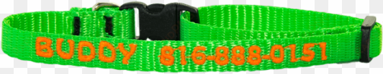 three eighths inch personalized dog collar - dog collar