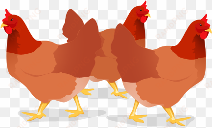 three french hens by - digital art