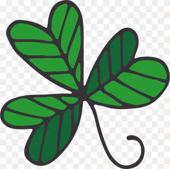 three leaf clover - four-leaf clover