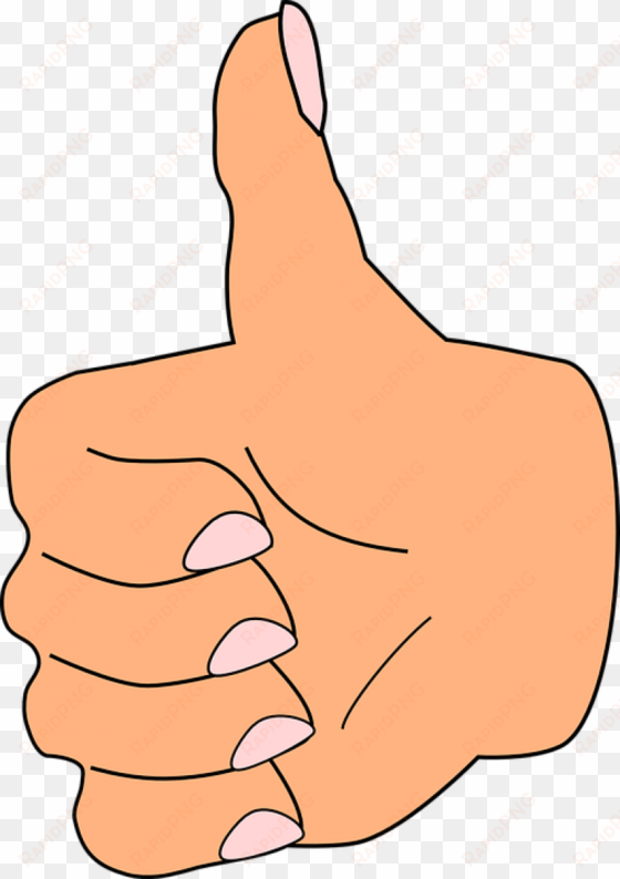 thumb up, thumb, like, correct, hand, fingers, positive - thumb clipart