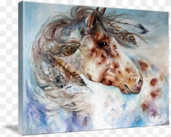"thunder appaloosa indian war horse" by marcia baldwin - gallery-wrapped canvas art print 10 x 7 entitled thunder