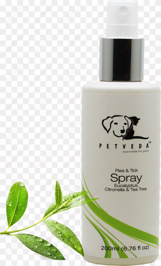 tick & flea spray - #1 best deep organic conditioner with tea tree oil,