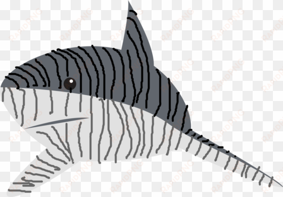 tiger shark drawing line art great white shark - shark vector