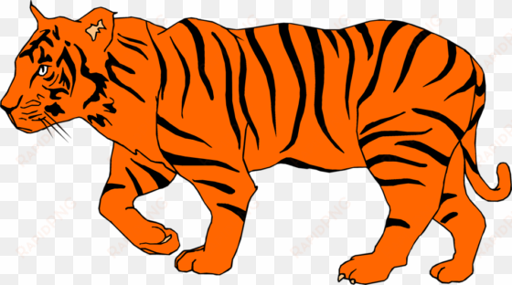 tigres clipart transparent background - illustration of a tiger