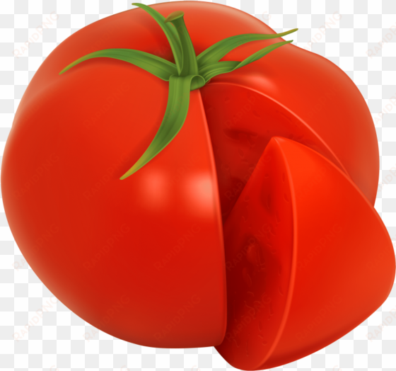 tomato png clipart image - tomato vector png