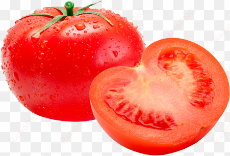 tomato png picture - tomato png transparent