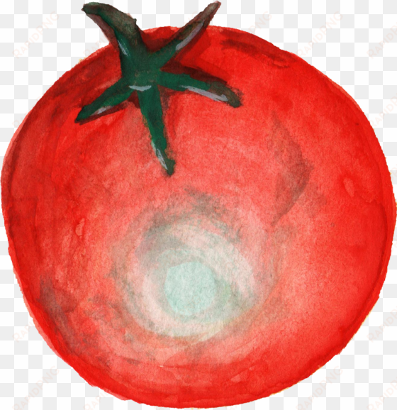 tomato splat png