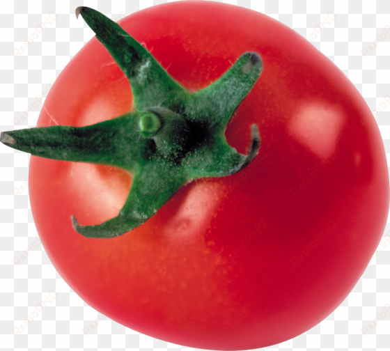 tomato transparent png sticker - tomate groß, 3 zoll-runder magnet runder magnet 7,6