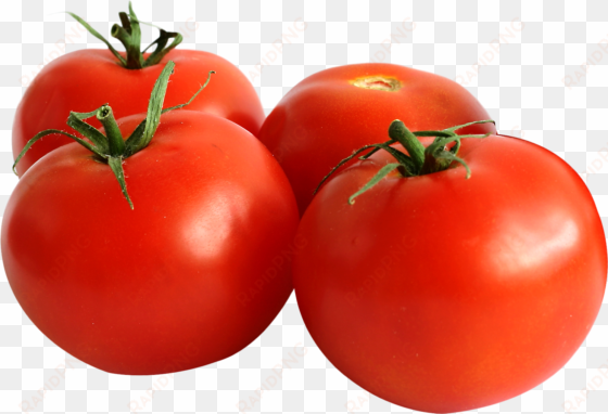 tomato tropic