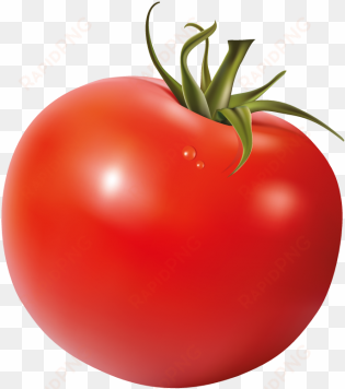 tomatoes - plum tomato