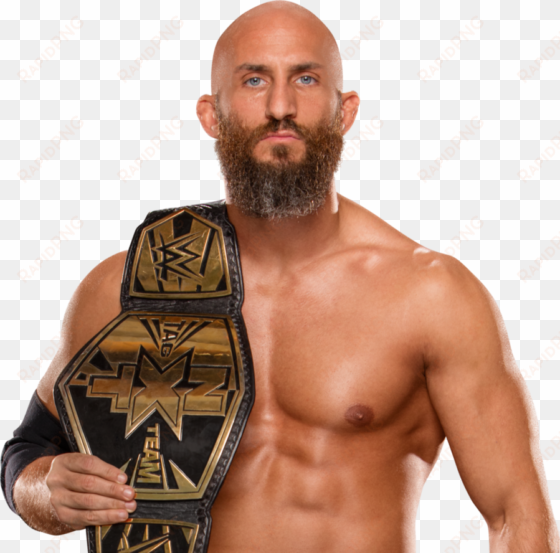 tommaso ciampa new nxt tag-team champion 2016 png by - tommaso ciampa nxt tag team champion