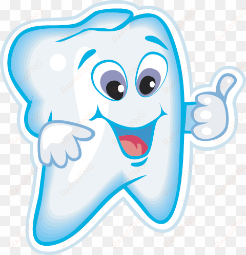 tooth - healthy tooth