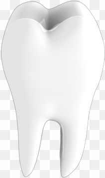 tooth png image - portable network graphics