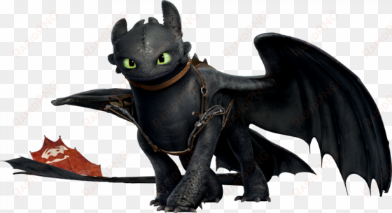 toothless the dragon from how to train your dragon, - train your dragon toothless
