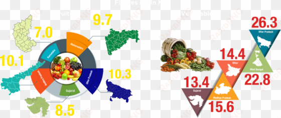 top 5 fruits & vegetables producing states - complete vegetable and herb collection of more than