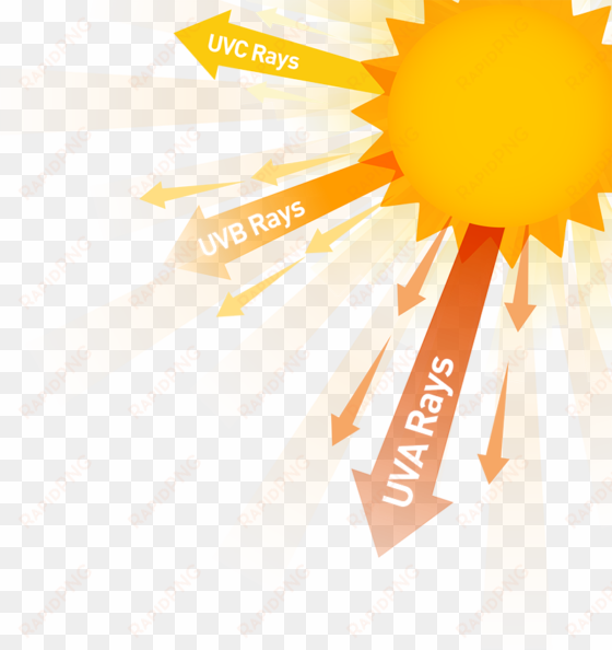 top five questions on skin cancer - ultraviolet ray clipart
