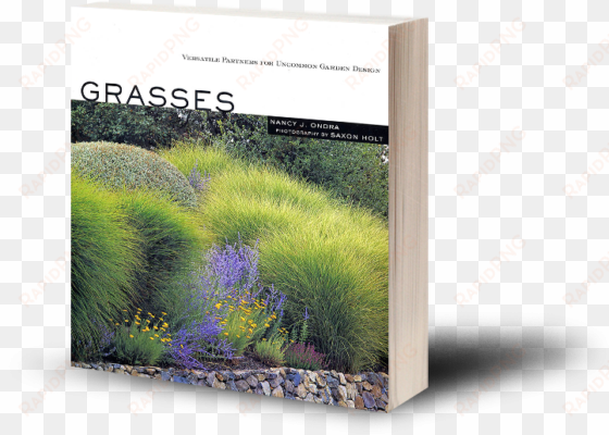 Top Rated Products - Grasses Versatile Partners For Uncommon Garden... By transparent png image