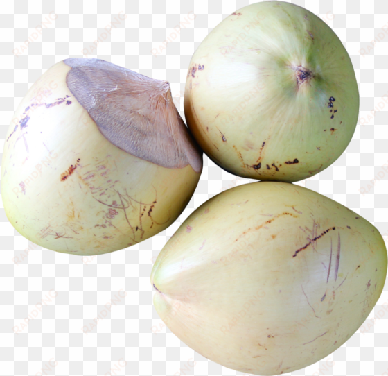 top view of coconut png image - coconut top view png