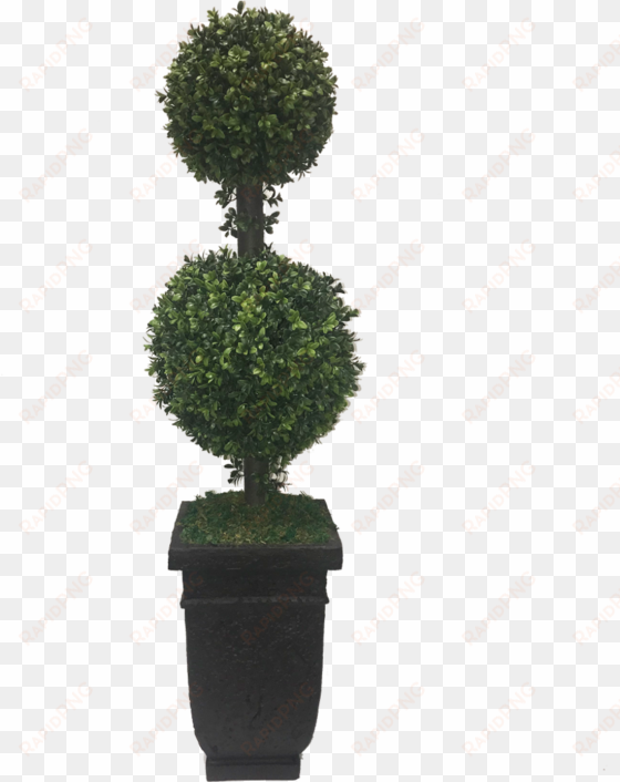 topiary hedge shrub bush plant freetoedit - trees n trends