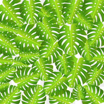 topical leaf background vector, tropical flower, flowers, - motif